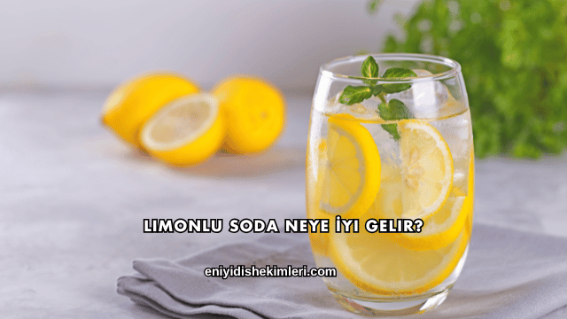 Limonlu Soda Neye İyi Gelir?