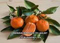 Mandalina Neye İyi Gelir?