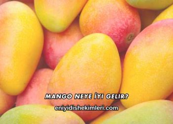 Mango Neye İyi Gelir?