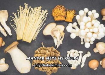 Mantar Neye İyi Gelir?