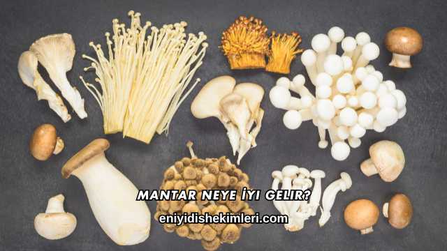 Mantar Neye İyi Gelir?