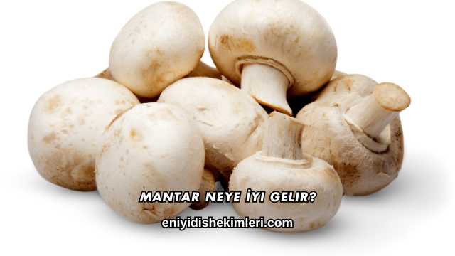 Mantar Neye İyi Gelir?