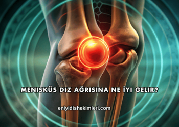 Menisküs Diz Ağrısına Ne İyi Gelir?
