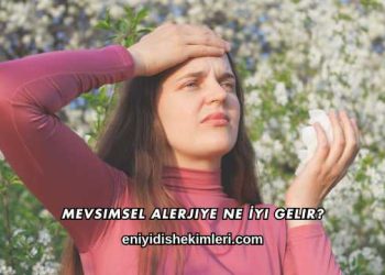 Mevsimsel Alerjiye Ne İyi Gelir?