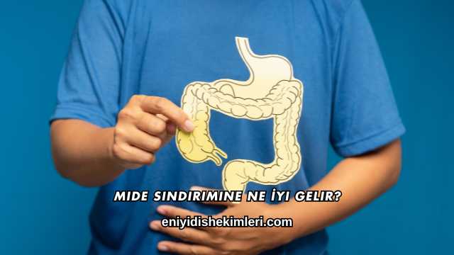 Mide Sindirimine Ne İyi Gelir?