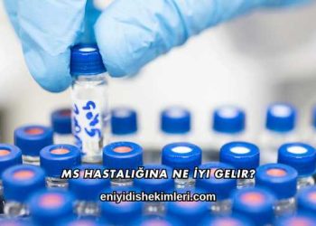 Ms Hastalığına Ne İyi Gelir?