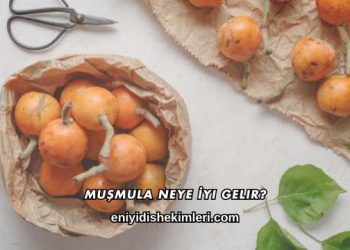 Muşmula Neye İyi Gelir?