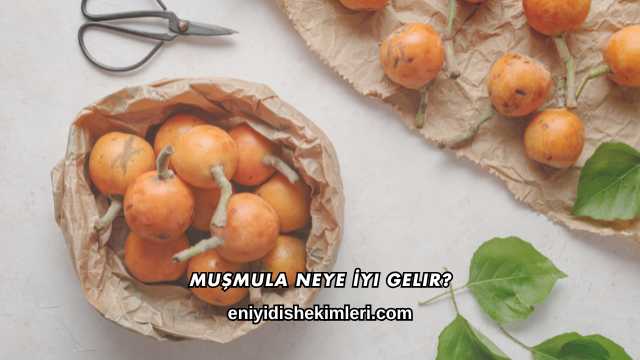 Muşmula Neye İyi Gelir?