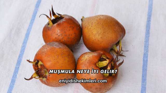 Muşmula Neye İyi Gelir?