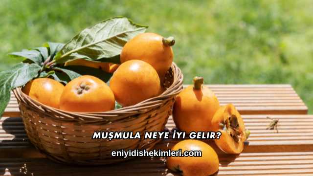Muşmula Neye İyi Gelir?