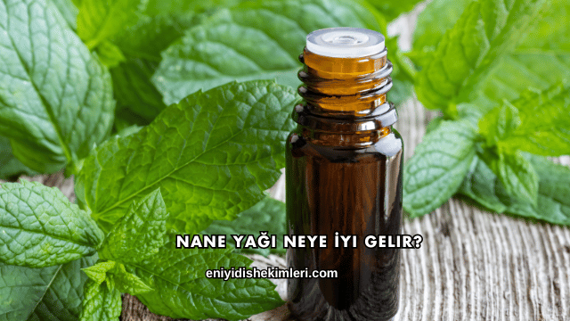 Nane Yağı Neye İyi Gelir?