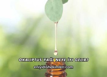 Okaliptus Yağı Neye İyi Gelir?