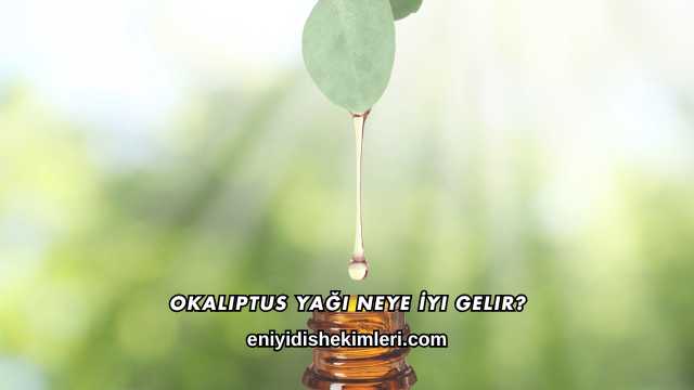 Okaliptus Yağı Neye İyi Gelir?