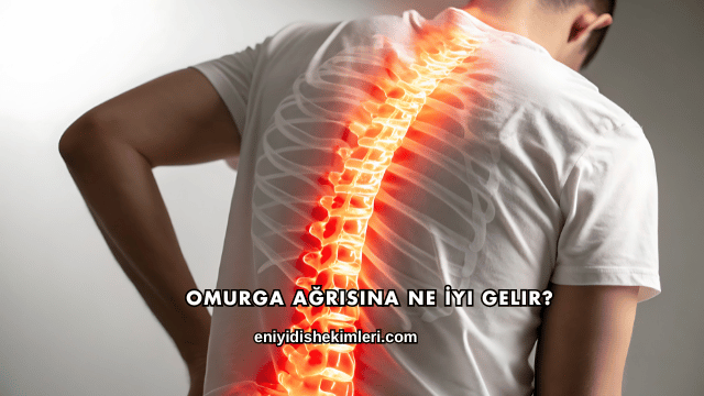Omurga Ağrısına Ne İyi Gelir?