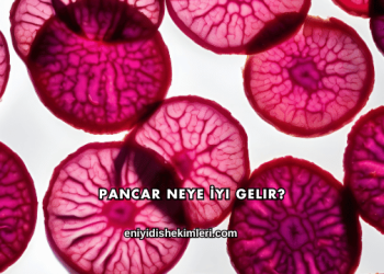 Pancar Neye İyi Gelir?