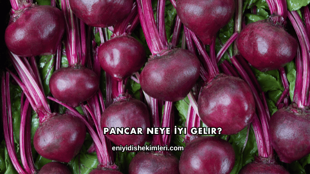 Pancar Neye İyi Gelir?