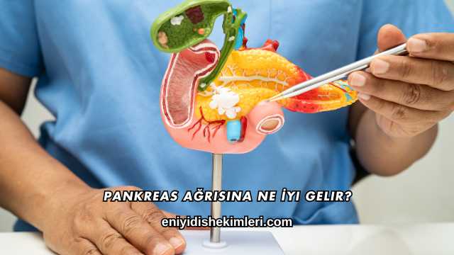 Pankreas Ağrısına Ne İyi Gelir?