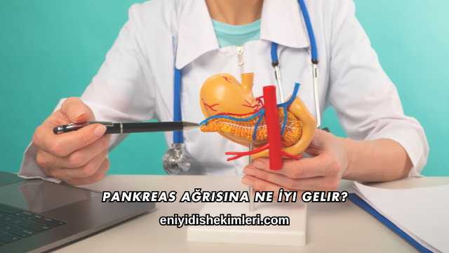 Pankreas Ağrısına Ne İyi Gelir?