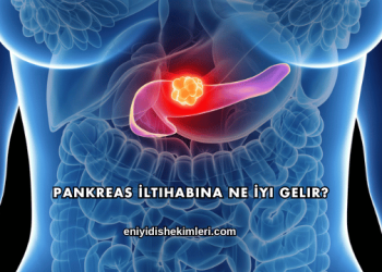 Pankreas İltihabına Ne İyi Gelir?