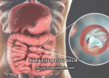 Parazite Ne İyi Gelir?