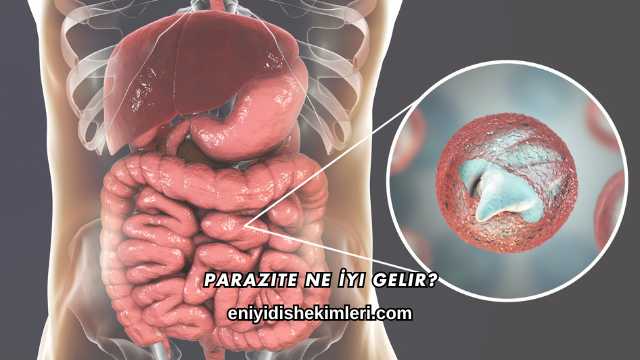 Parazite Ne İyi Gelir?
