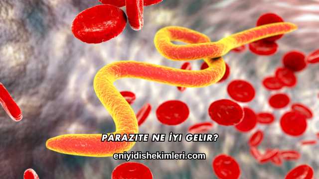 Parazite Ne İyi Gelir?