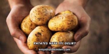 Patates Neye İyi Gelir?