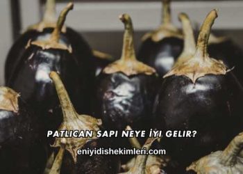 Patlıcan Sapı Neye İyi Gelir?