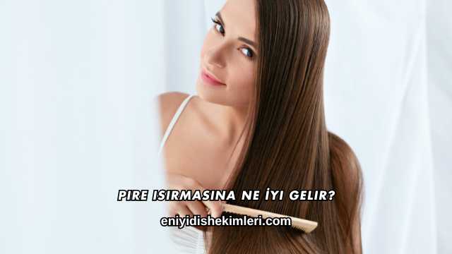 Pire Isırmasına Ne İyi Gelir?