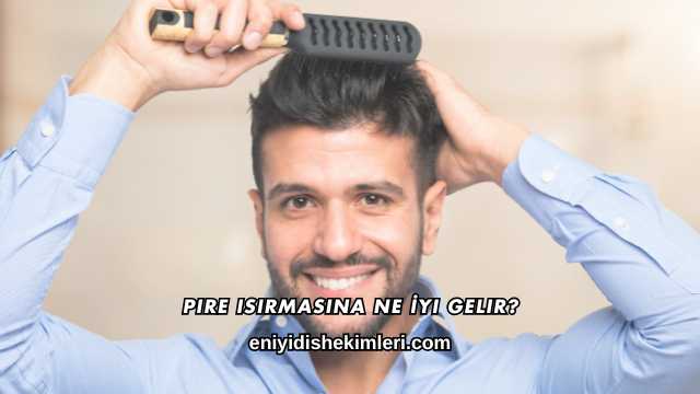 Pire Isırmasına Ne İyi Gelir?