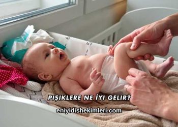 Pişiklere Ne İyi Gelir?