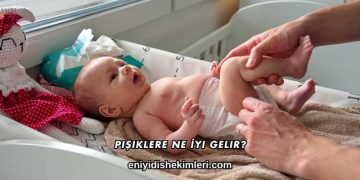 Pişiklere Ne İyi Gelir?
