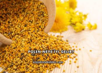 Polen Neye İyi Gelir?