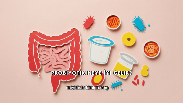 Probiyotik Neye İyi Gelir?