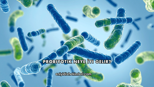 Probiyotik Neye İyi Gelir?