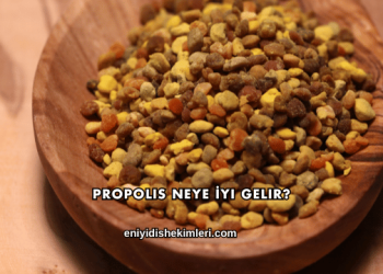 Propolis Neye İyi Gelir?