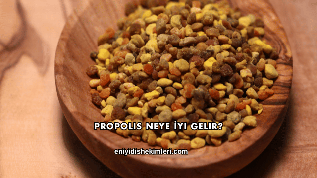 Propolis Neye İyi Gelir?