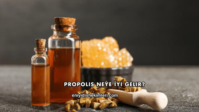 Propolis Neye İyi Gelir?