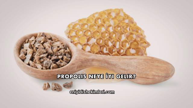 Propolis Neye İyi Gelir?