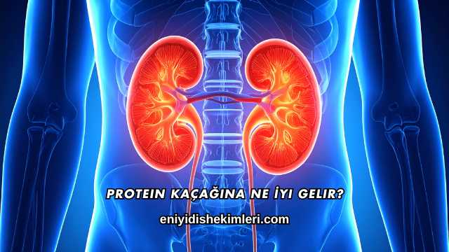 Protein Kaçağına Ne İyi Gelir?