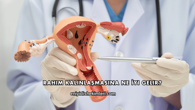 Rahim Kalınlaşmasına Ne İyi Gelir?