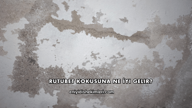Rutubet Kokusuna Ne İyi Gelir?