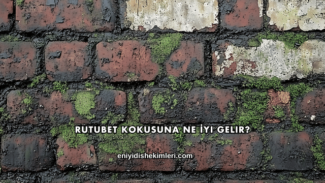 Rutubet Kokusuna Ne İyi Gelir?