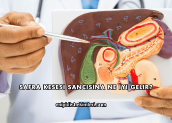 Safra Kesesi Sancısına Ne İyi Gelir?