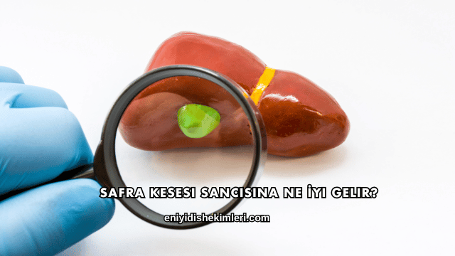 Safra Kesesi Sancısına Ne İyi Gelir?