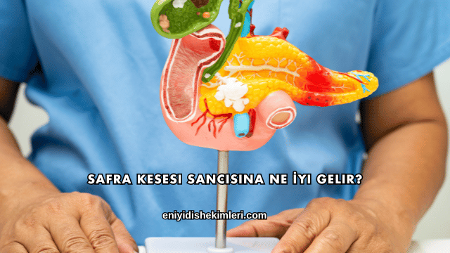 Safra Kesesi Sancısına Ne İyi Gelir?