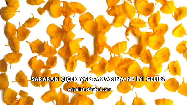 Sararan Çiçek Yapraklarına Ne İyi Gelir?