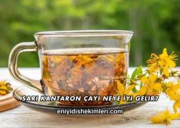Sarı Kantaron Çayı Neye İyi Gelir?
