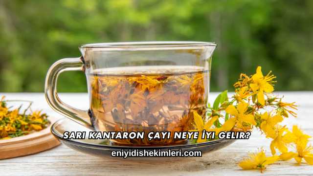Sarı Kantaron Çayı Neye İyi Gelir?