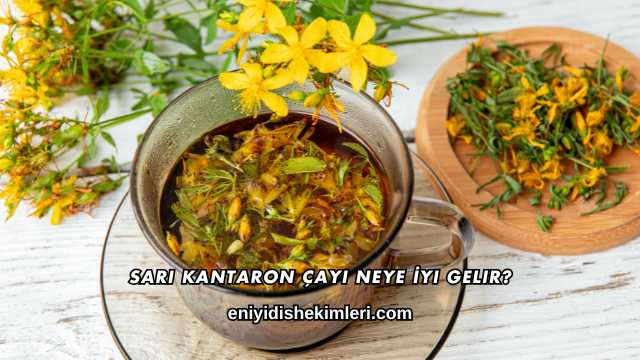 Sarı Kantaron Çayı Neye İyi Gelir?